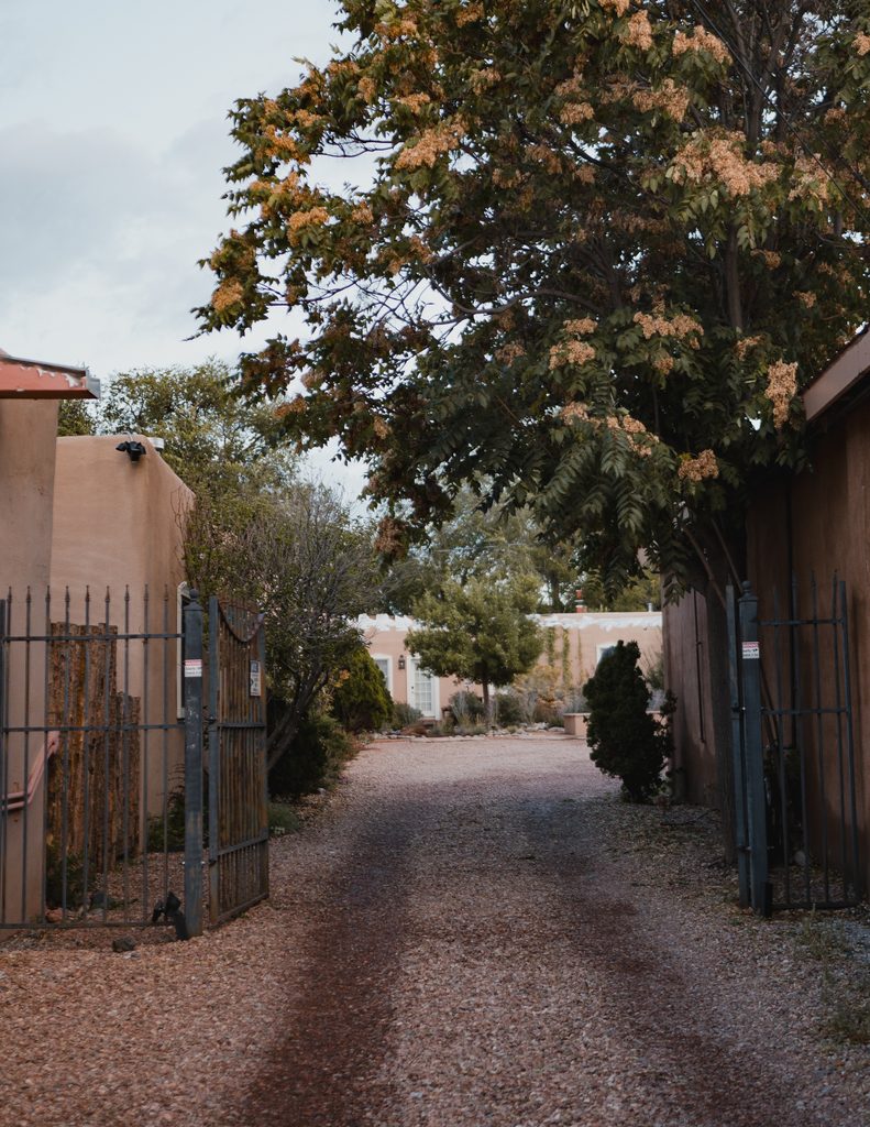 Gravel driveway through an open iron gate, trees overhead, pink casita in the distance